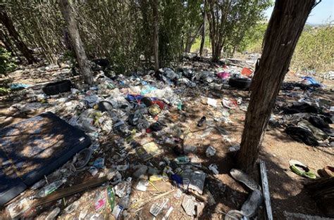 How much money is Austin spending on homeless camp clean up?